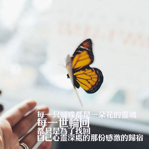 施工水电费处理速查卡